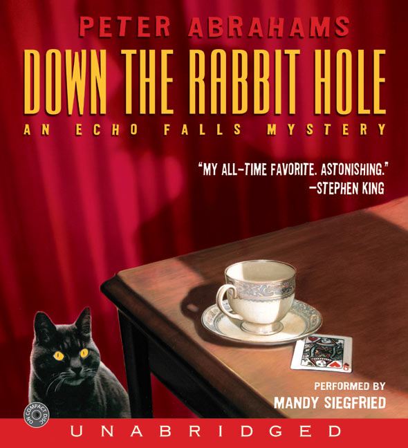 Down the Rabbit Hole CD