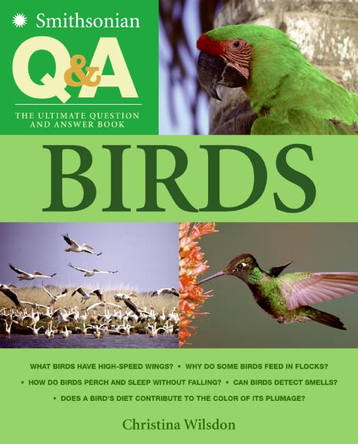 Smithsonian Q & A: Birds