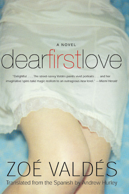 Dear First Love: A Novel