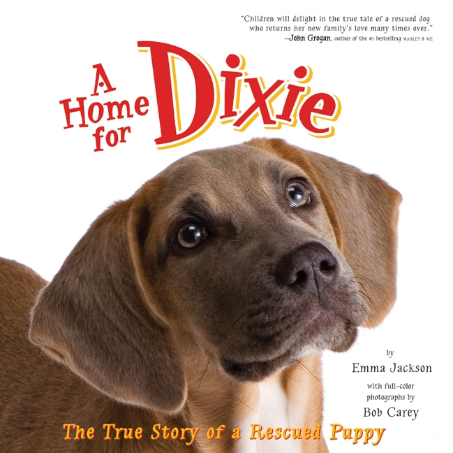 A Home for Dixie