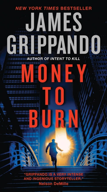 Money to Burn: A Novel of Suspense