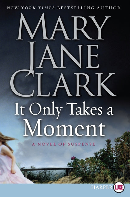 It Only Takes a Moment: A Novel of Suspense