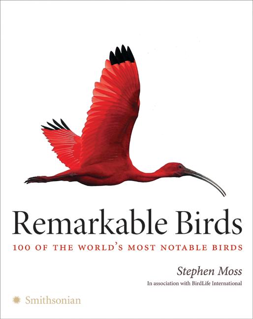 Remarkable Birds