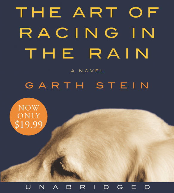 The Art of Racing in the Rain