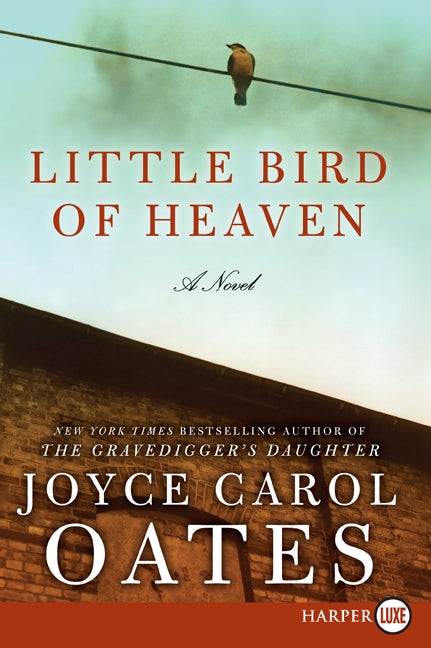 Little Bird of Heaven: A Novel
