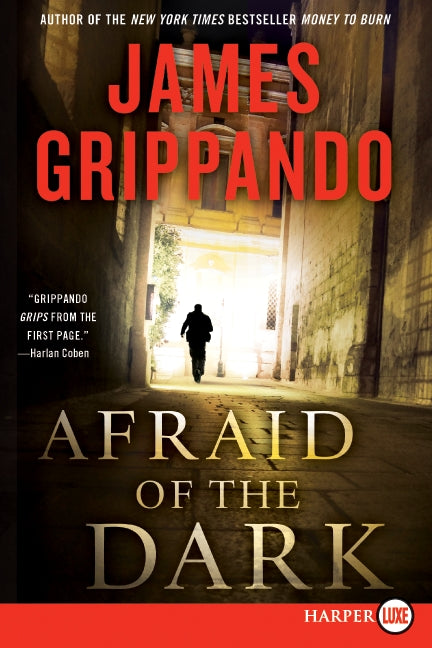 Afraid of the Dark: A Novel of Suspense