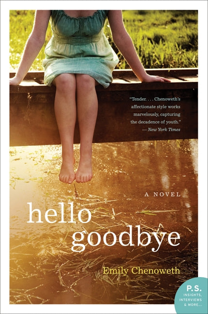 Hello Goodbye: A Novel