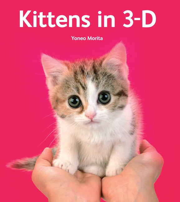 Kittens in 3-D