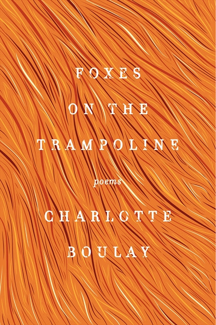 Foxes on the Trampoline: Poems