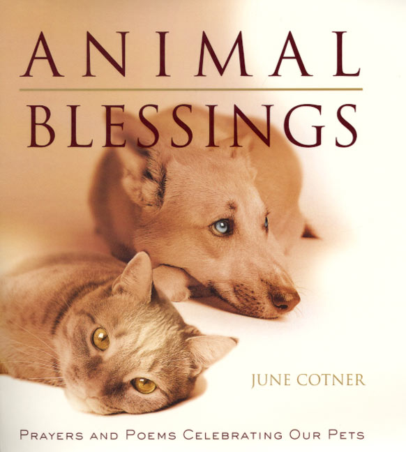 Animal Blessings