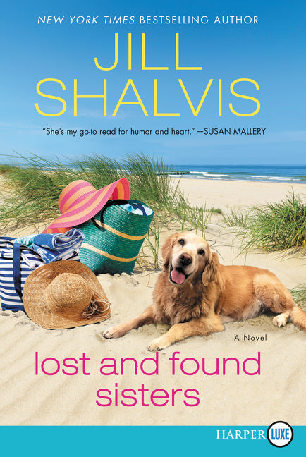 Lost and Found Sisters: A Novel