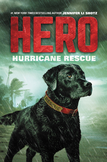 Hero: Hurricane Rescue