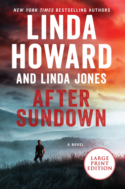 After Sundown: A Novel