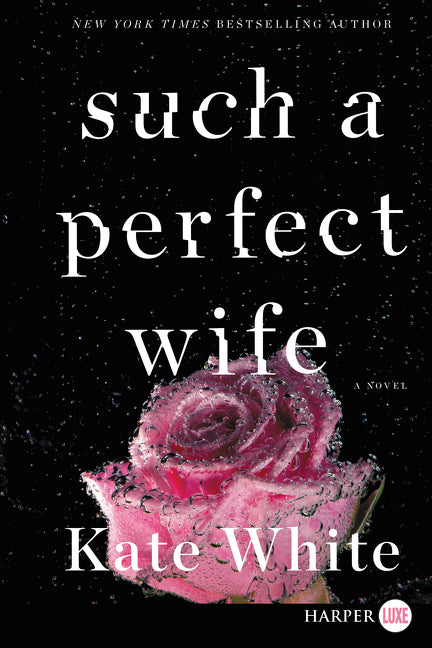 Such a Perfect Wife: A Novel
