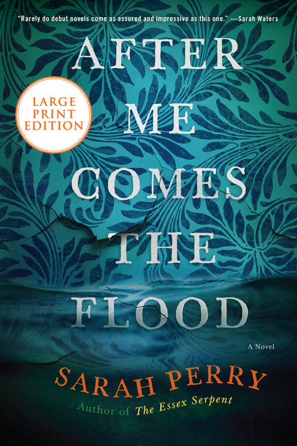 After Me Comes the Flood: A Novel