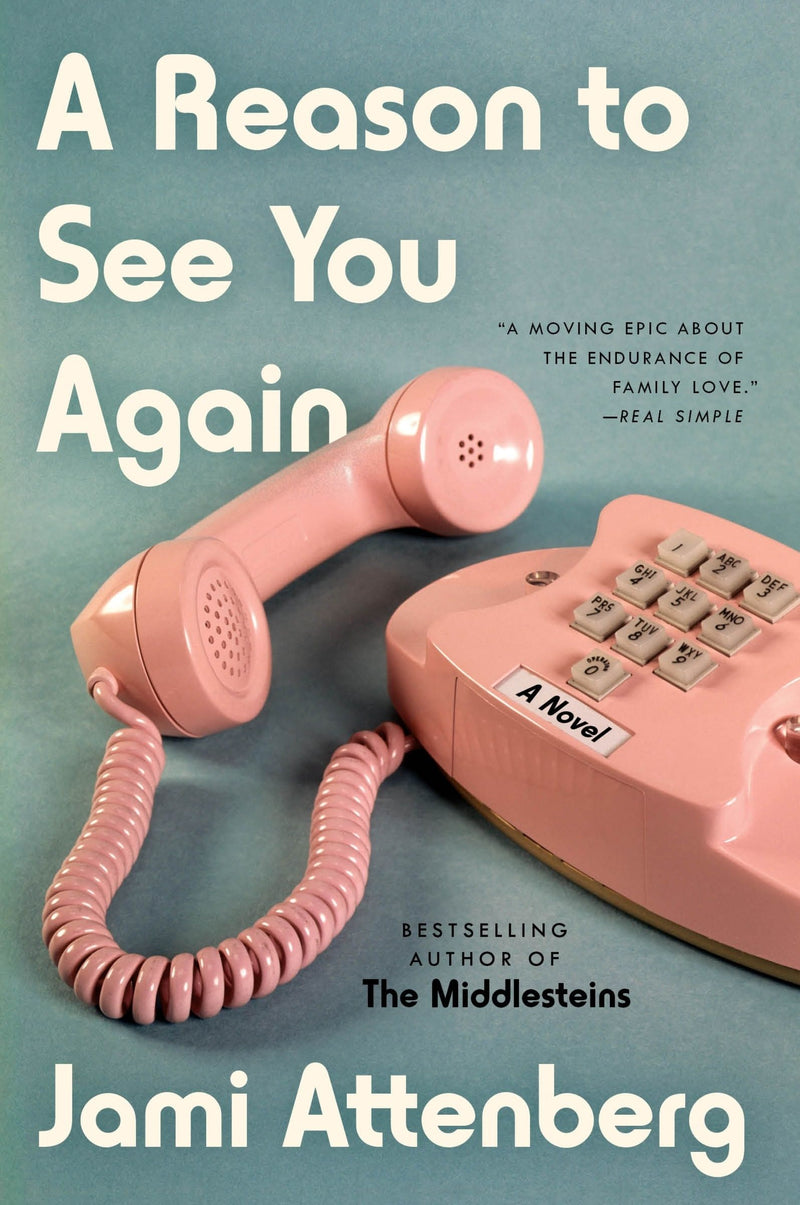 A Reason to See You Again: A Novel