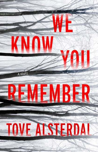 We Know You Remember: A Novel