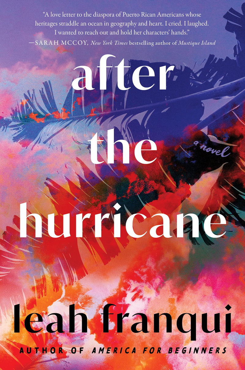 After the Hurricane: A Novel