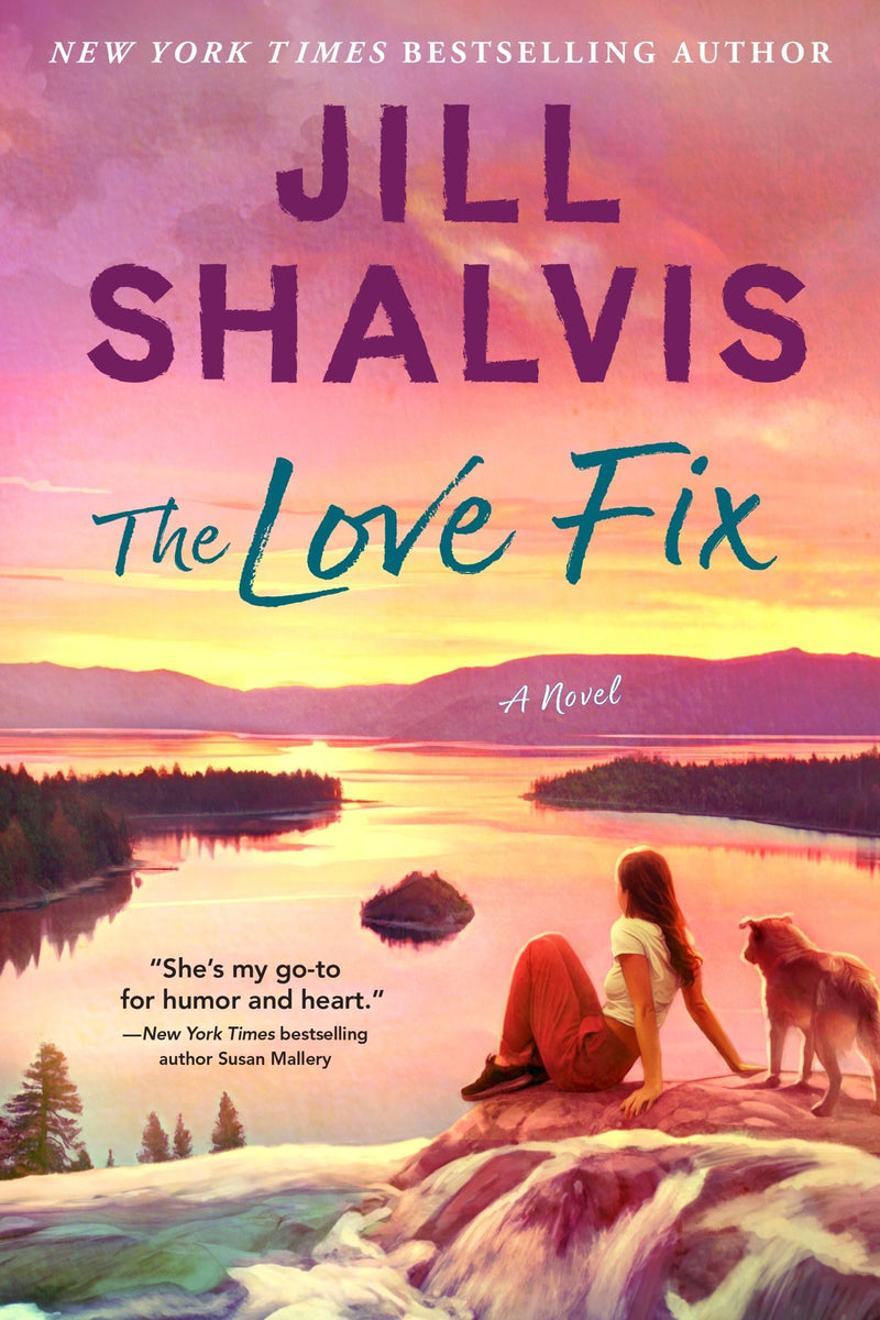 The Love Fix: A Novel