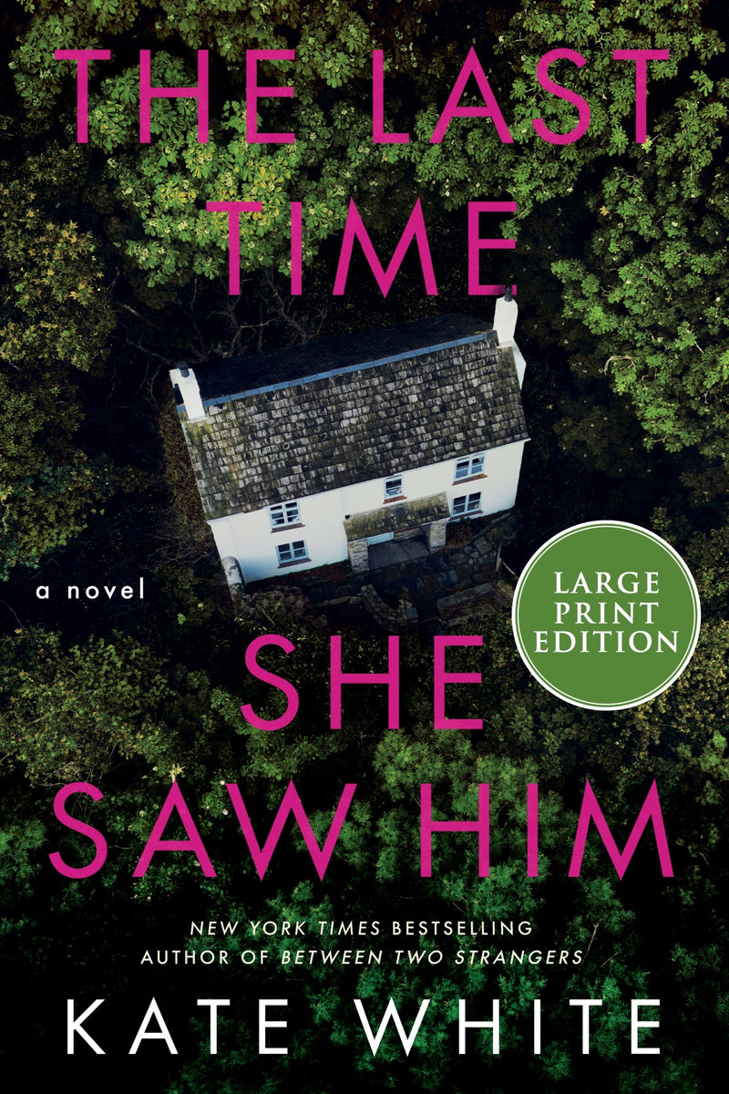 The Last Time She Saw Him: A Novel