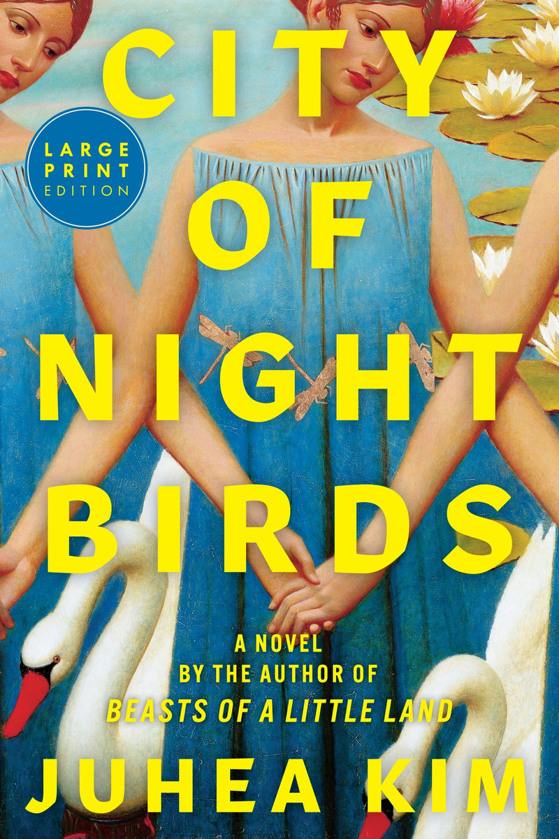 City of Night Birds: A Novel