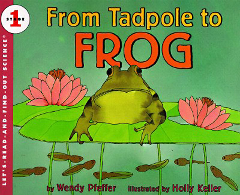 From Tadpole to Frog