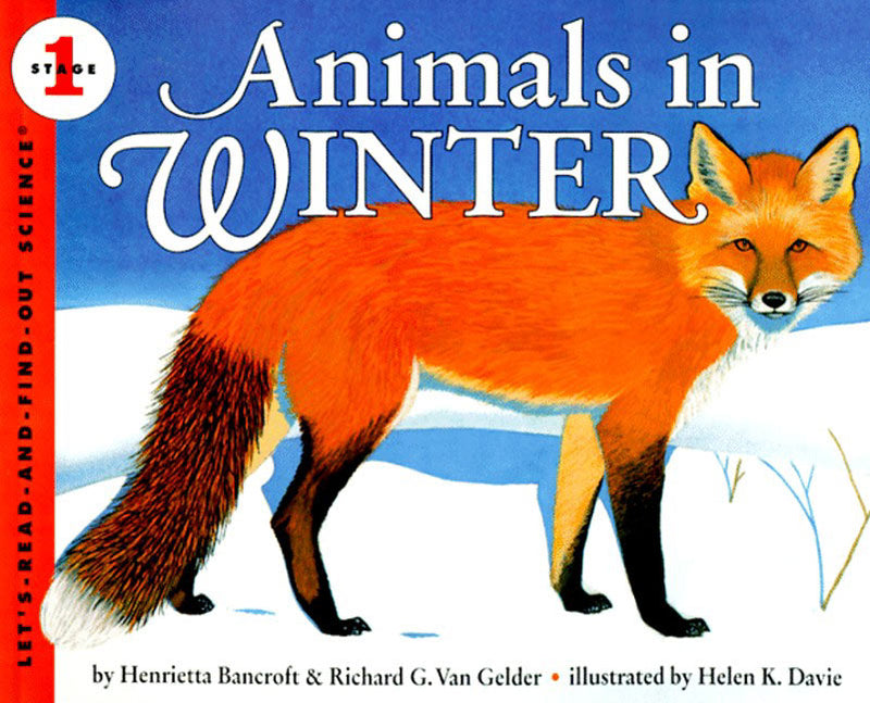 Animals in Winter: Stage 1