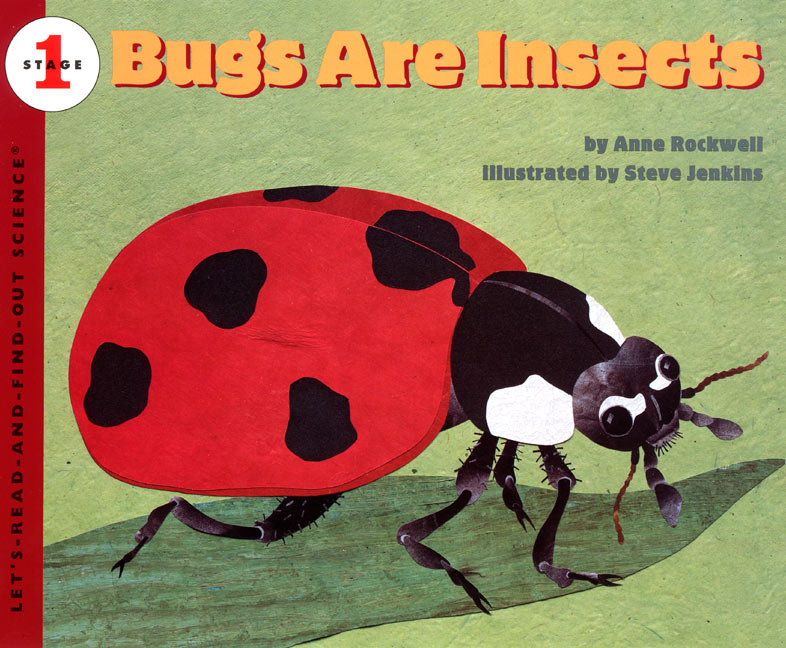 Bugs Are Insects