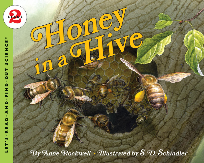 Honey in a Hive