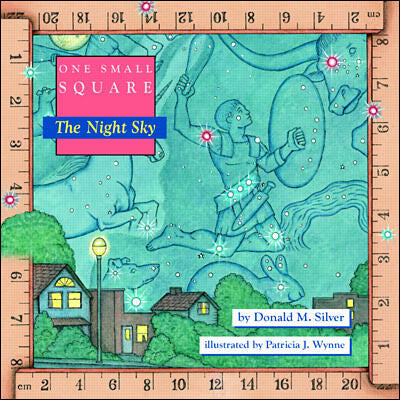 One Small Square The Night Sky