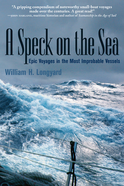 A Speck On The Sea