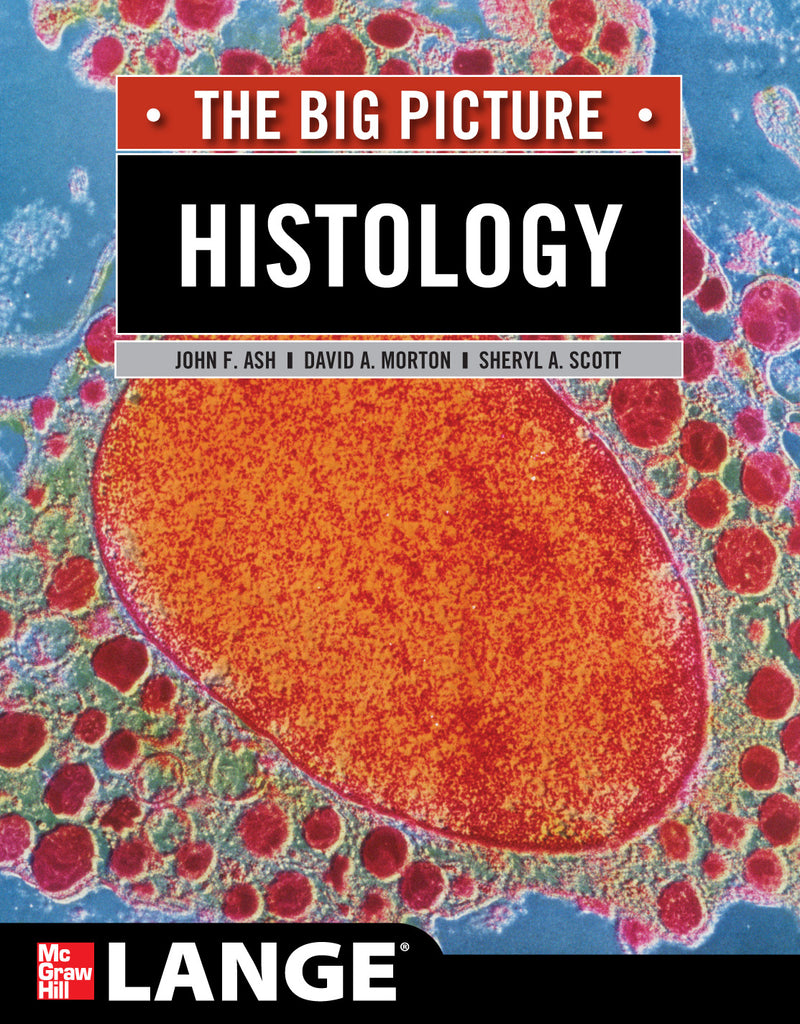 Histology The Big Picture