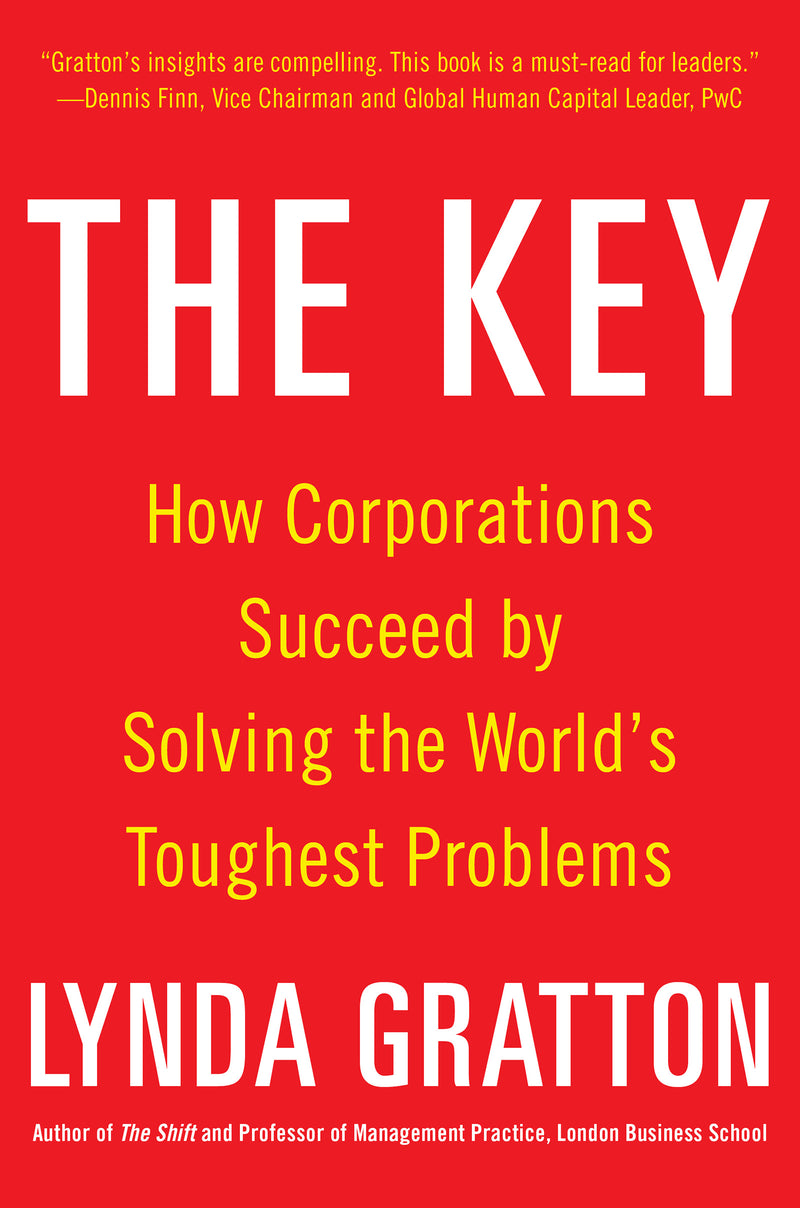 The Key How Corporations Succeed By Solving The Worlds Toughest Problems