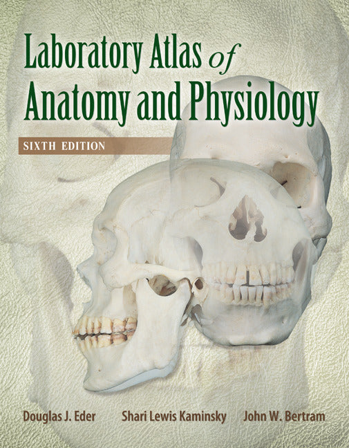 Laboratory Atlas Of Anatomy & Physiology 6e