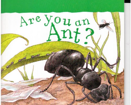 Reading Mastery Are You An Ant 6e