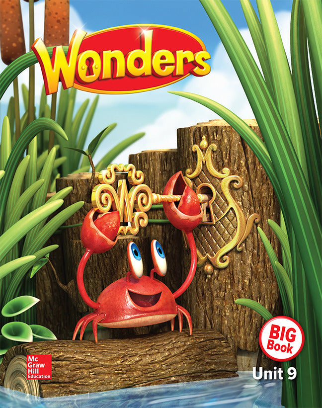 Wonders Reading Writing Workshop Big Book Volume 9 Grade K