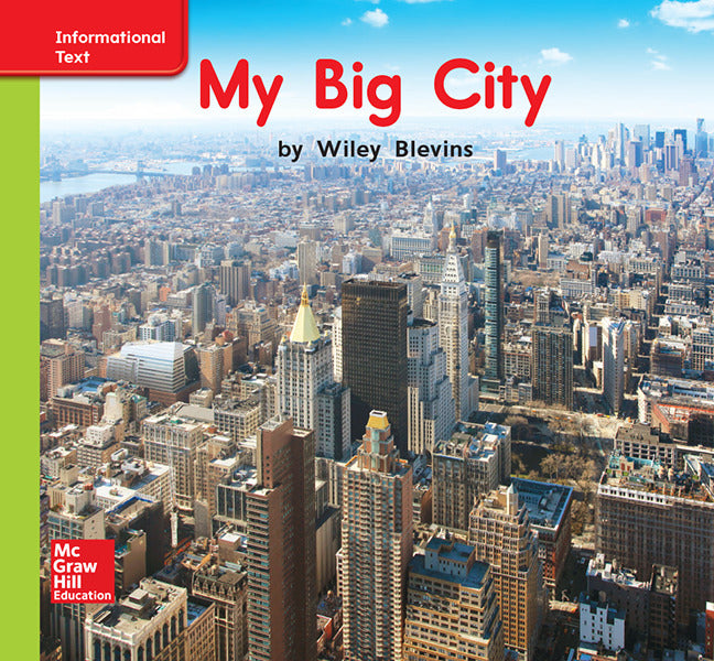 World Of Wonders Patterned Book # 5 My Big City
