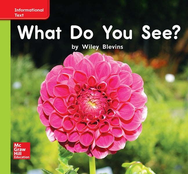 World Of Wonders Patterned Book # 8 What Do You See