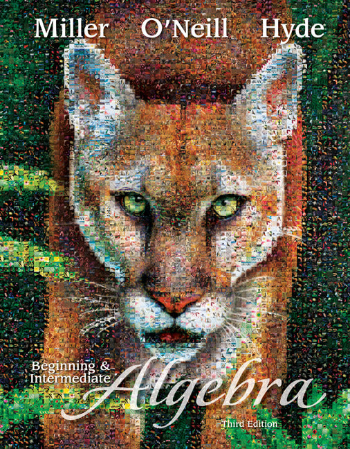 Beginning & Intermediate Algebra 3e