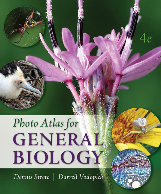 Photo Atlas For General Biology 4e