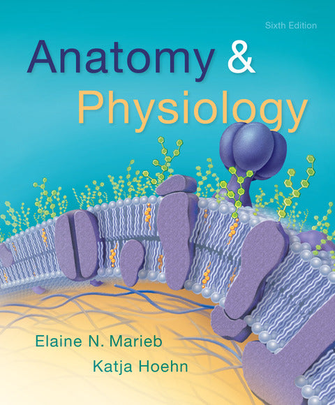 Anatomy & Physiology
