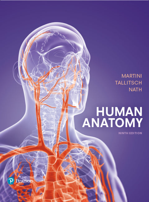 Human Anatomy