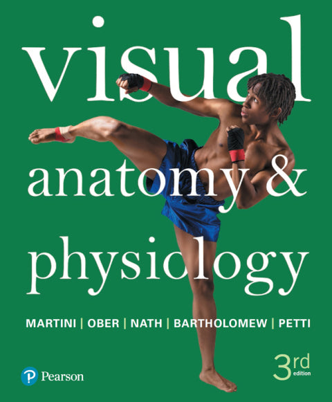 Visual Anatomy & Physiology