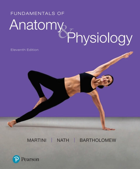 Fundamentals Of Anatomy & Physiology