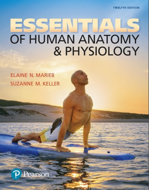 Essentials Of Human Anatomy & Physiology