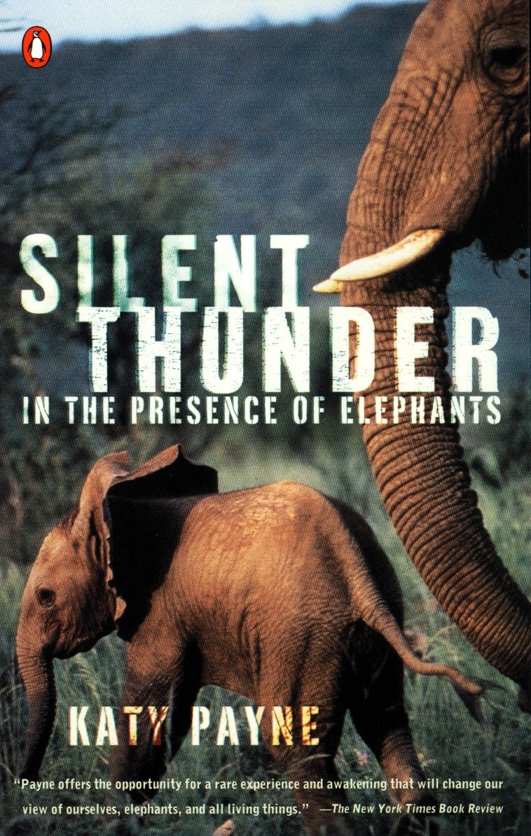 Silent Thunder