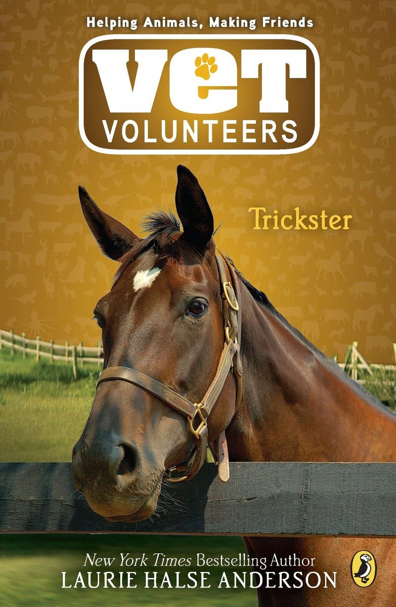 Vet Volunteers