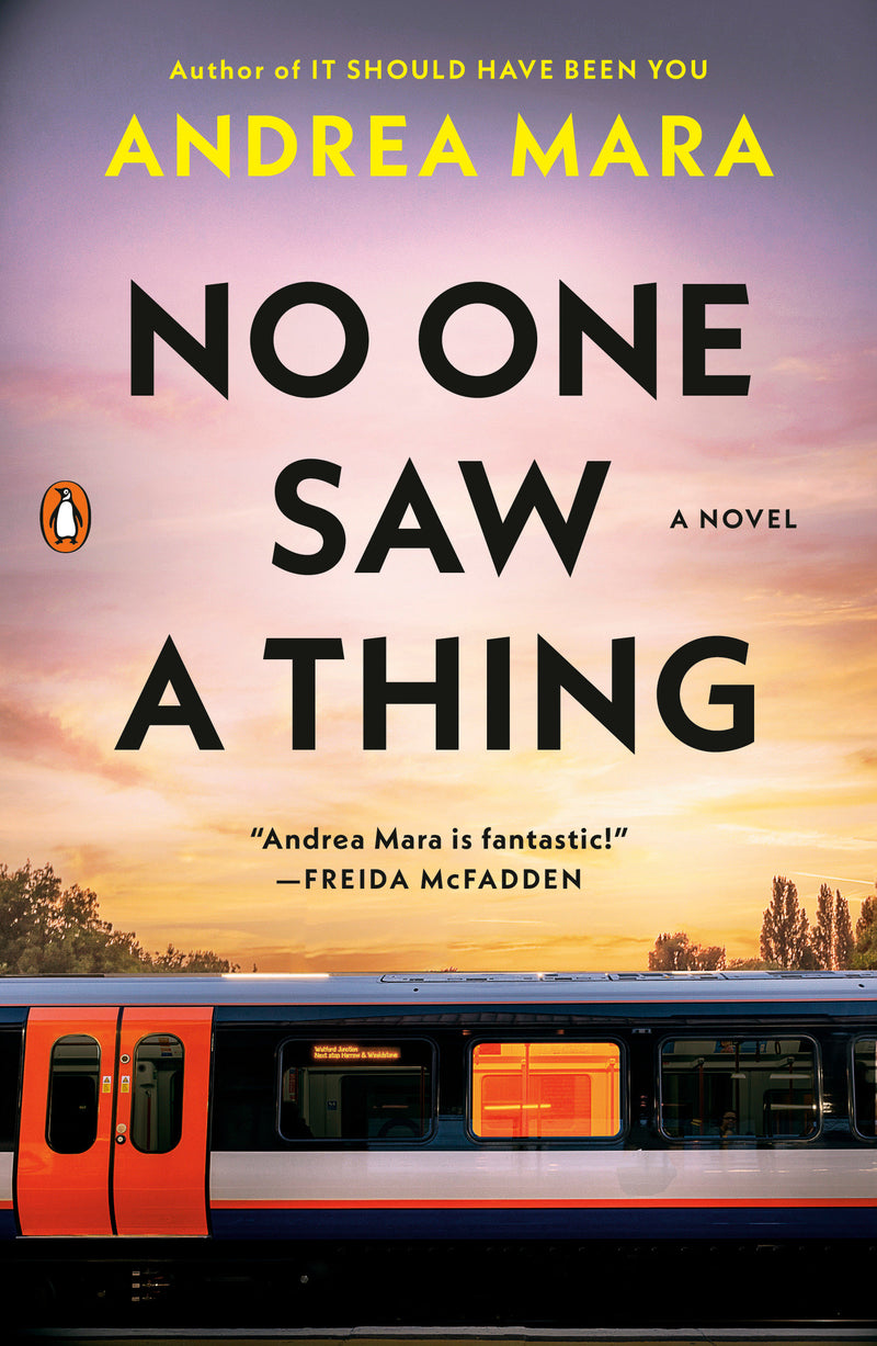 No One Saw a Thing: A Novel