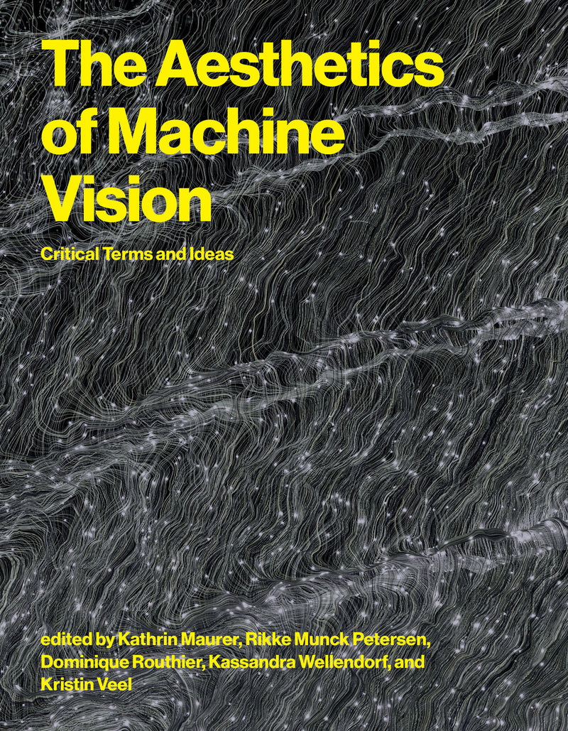 The Aesthetics of Machine Vision: Critical Terms and Ideas