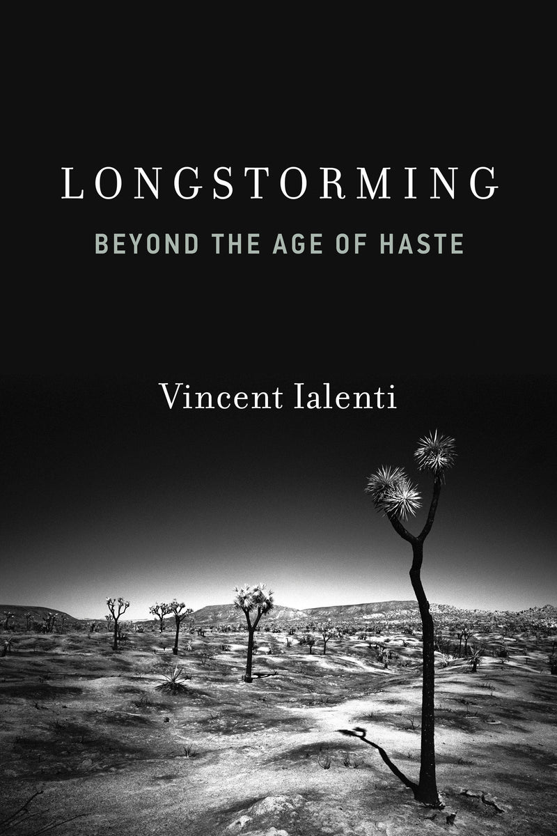 Longstorming: Beyond the Age of Haste